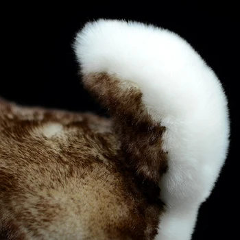 Simulering Dog Dukke Søde Brune Siberian Husky Bløde Virkelige Liv Canis lupus familiaris tøjdyr Plush Legetøj Model For Kids Gave